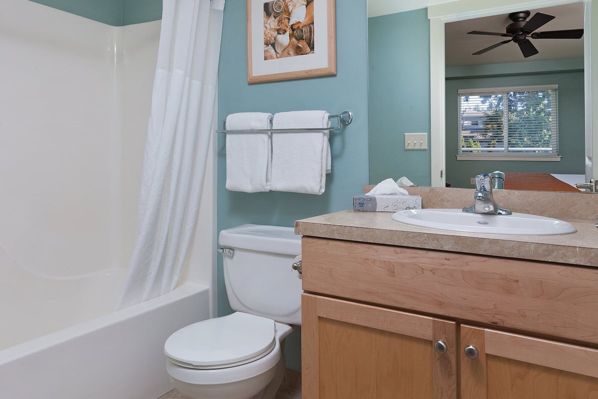 combined shower/bathtub, free toiletries, hair dryer, towels