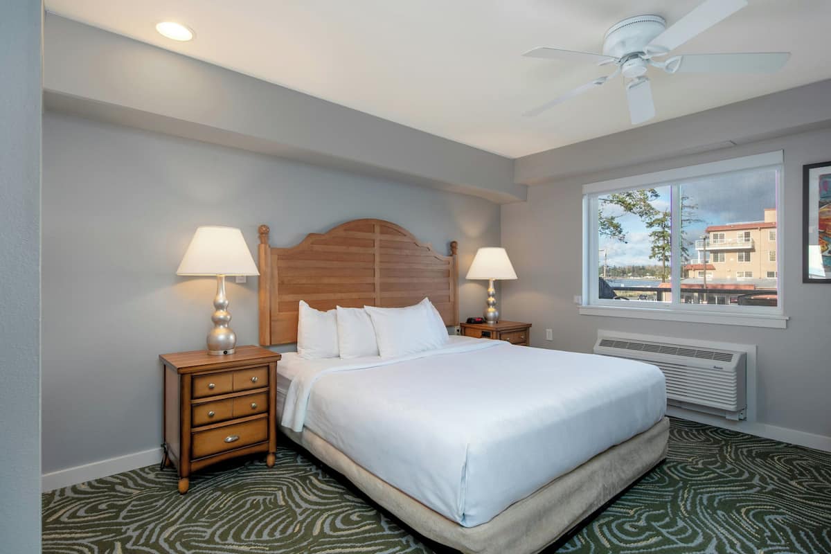 A hotel room with a bed, two bedside tables with lamps, a ceiling fan, a window with a view, and a radiator.