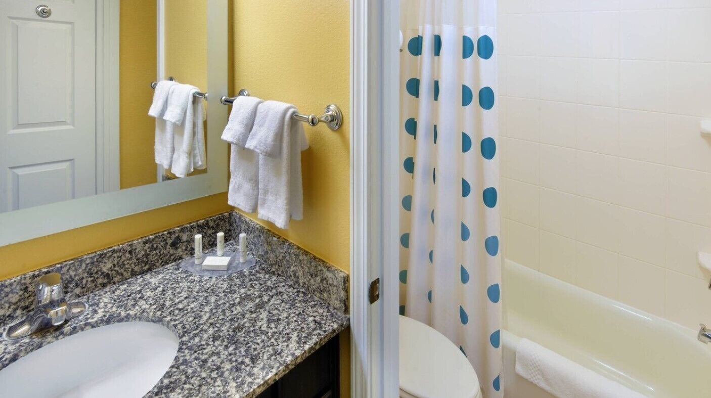 combined shower/bathtub, free toiletries, hair dryer, towels