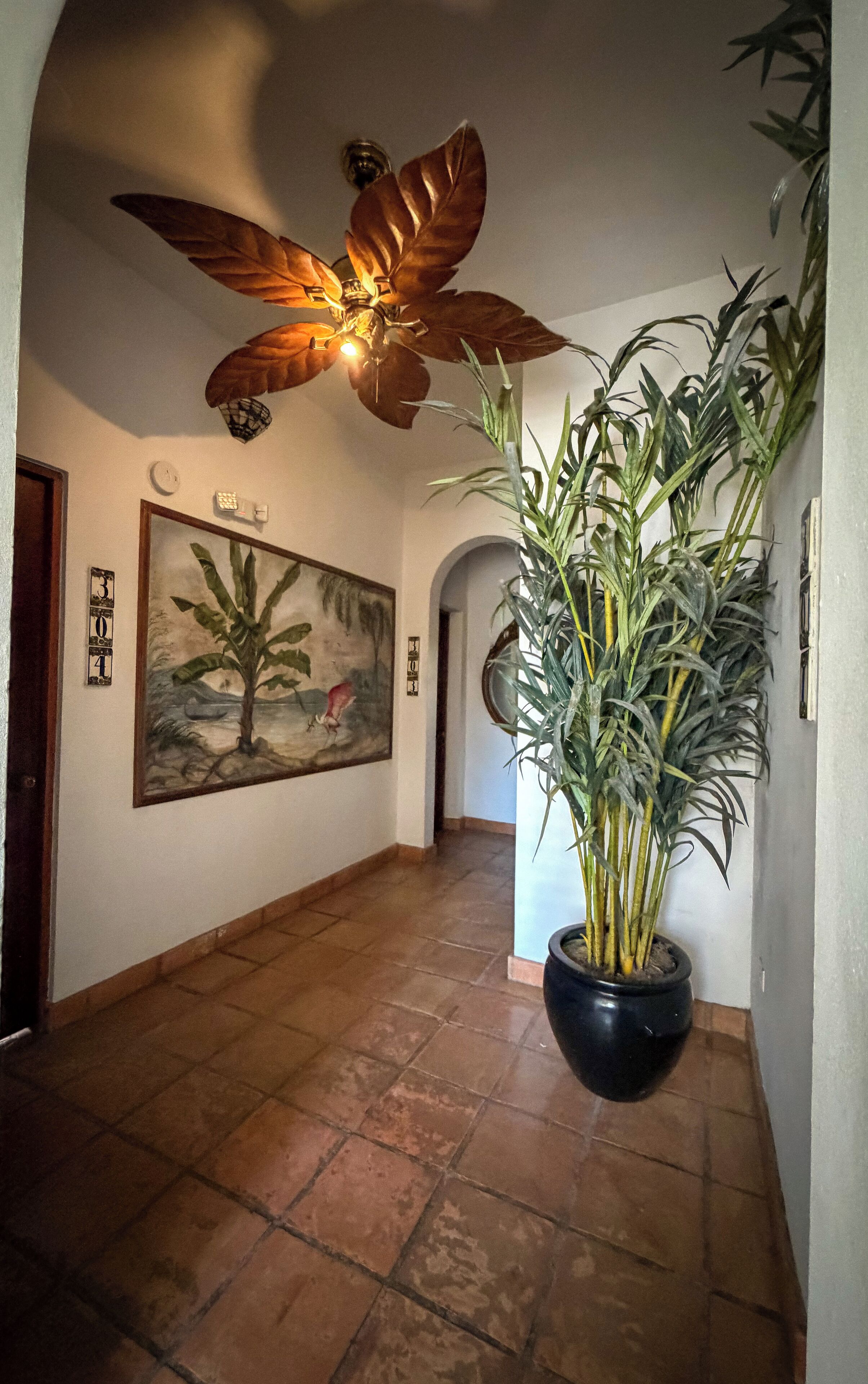Photo - Acacia Boutique Hotel