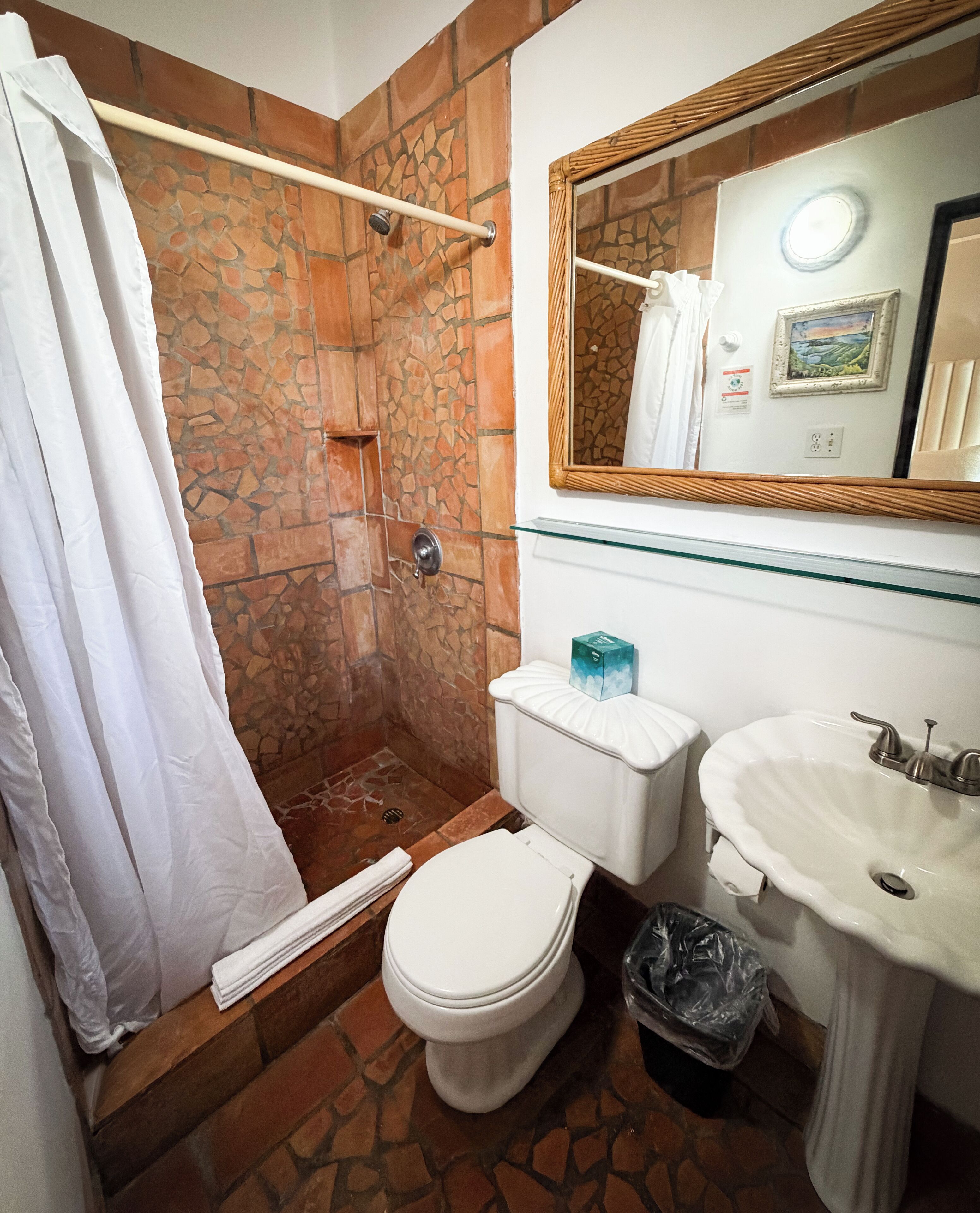 Un baño con ducha, inodoro, lavabo y espejo.