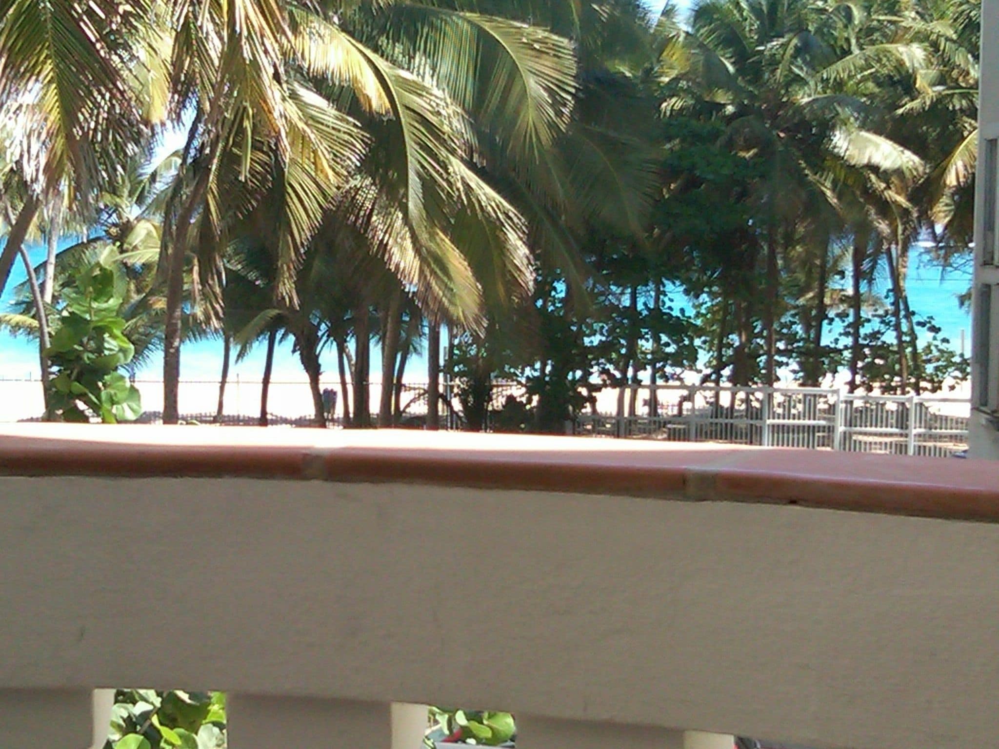 Foto - Acacia Boutique Hotel