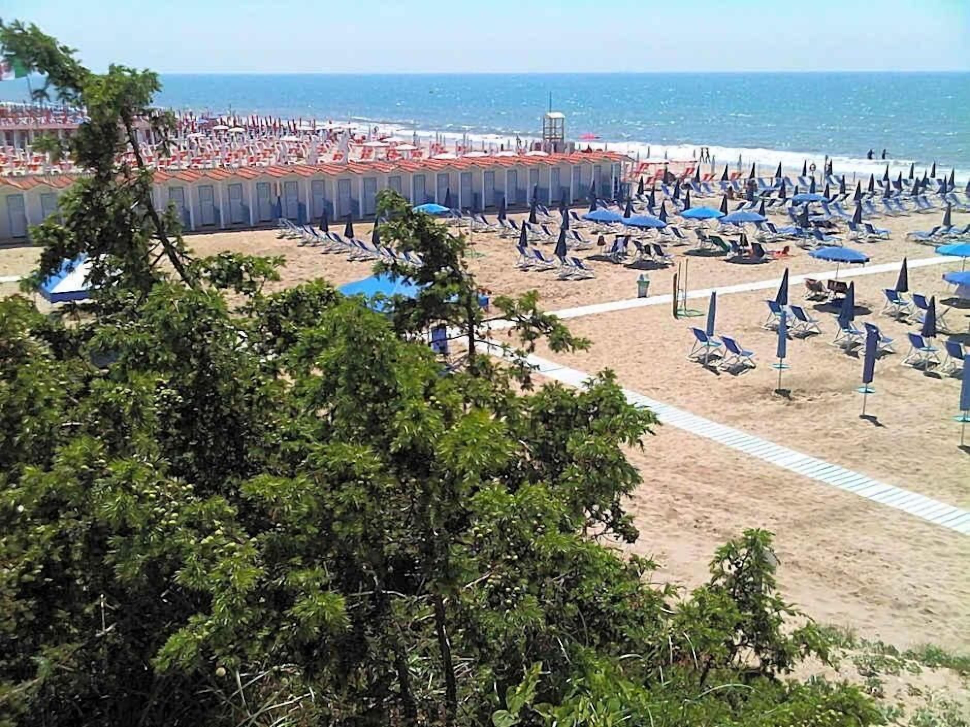 Vista desde la propiedad