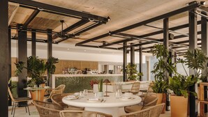 Un comedor moderno con una mesa redonda, sillas de mimbre y plantas en macetas.