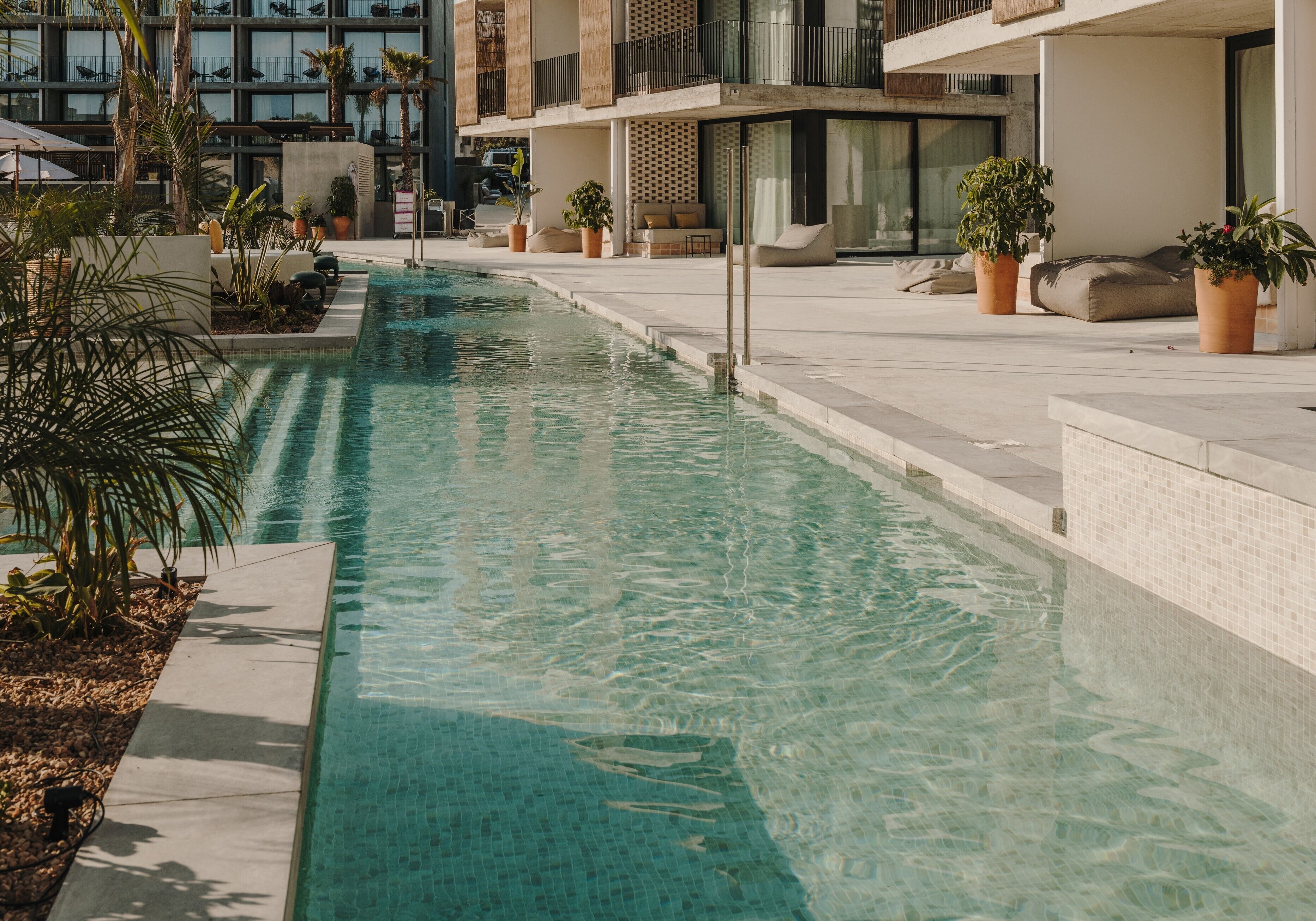 Una piscina con borde de azulejos, rodeada de plantas en macetas y mobiliario de exterior.