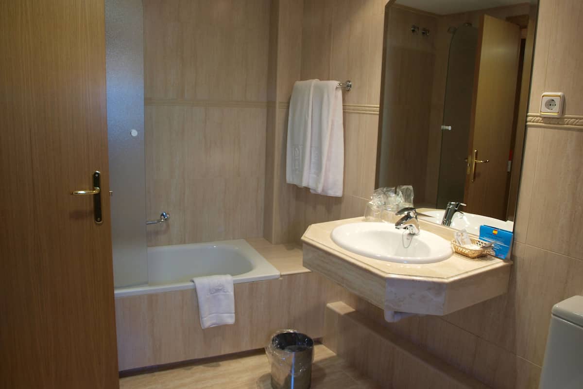 hair dryer, bidet, towels