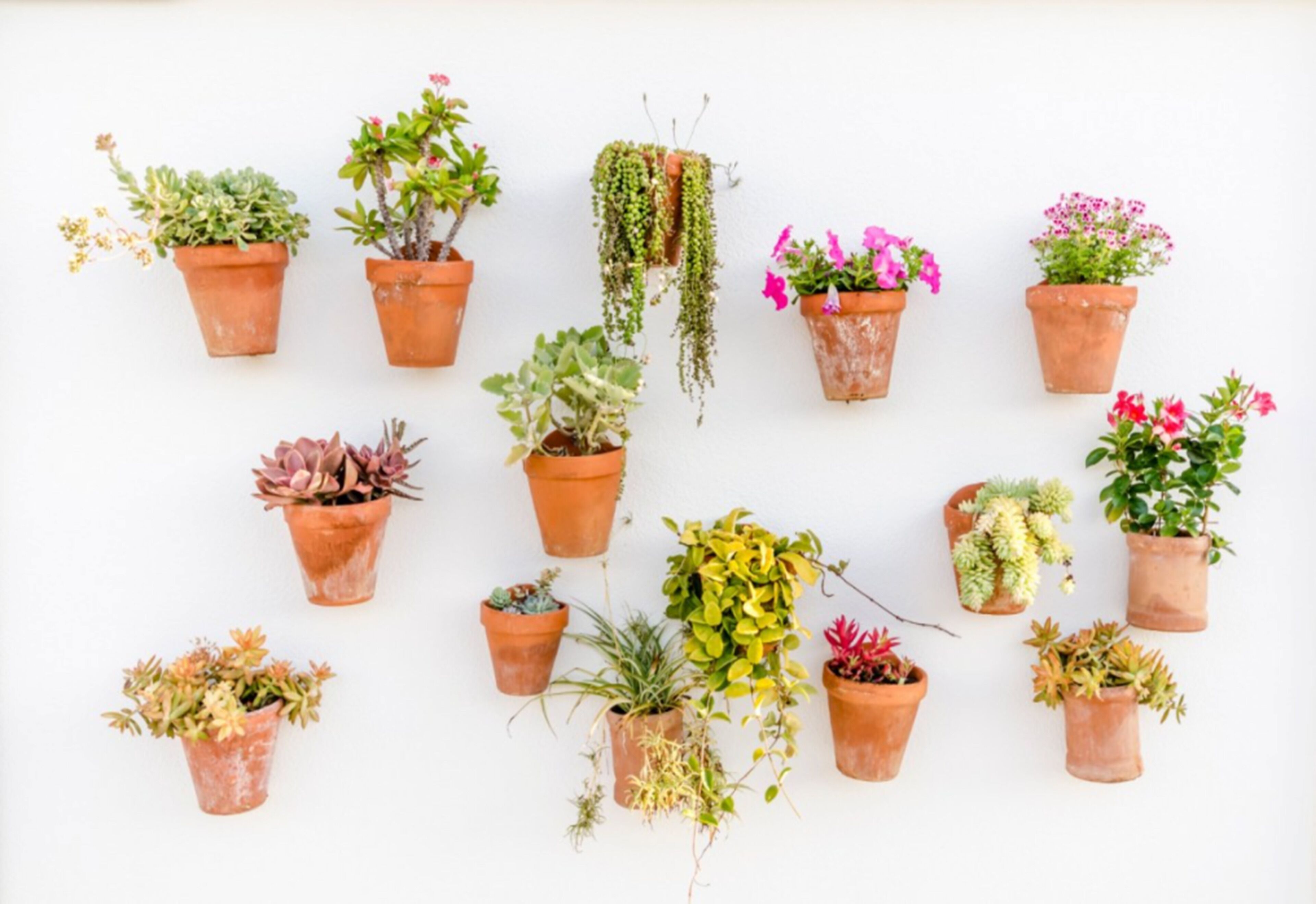 Foto - Apartamentos Blancala