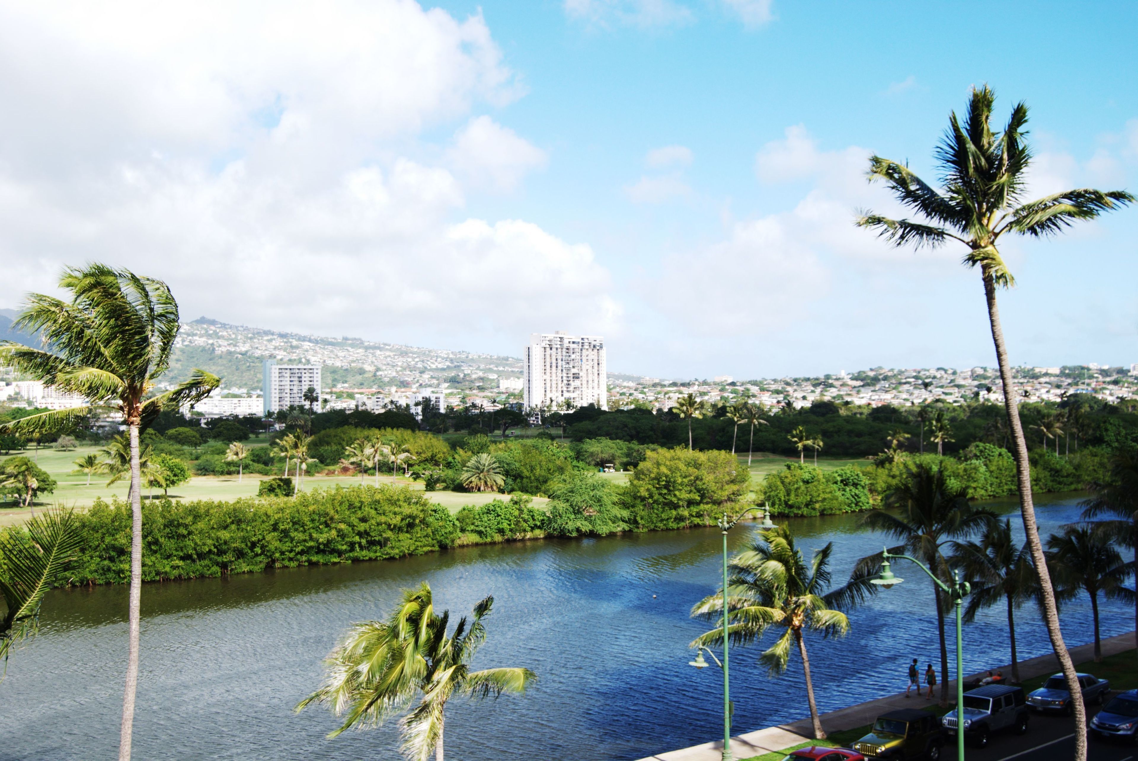 Un río con palmeras, un parque y un paisaje urbano al fondo.