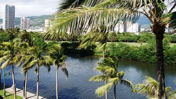 A waterfront view with palm trees and a river. - Holiday Surf Hotel (Honolulu)