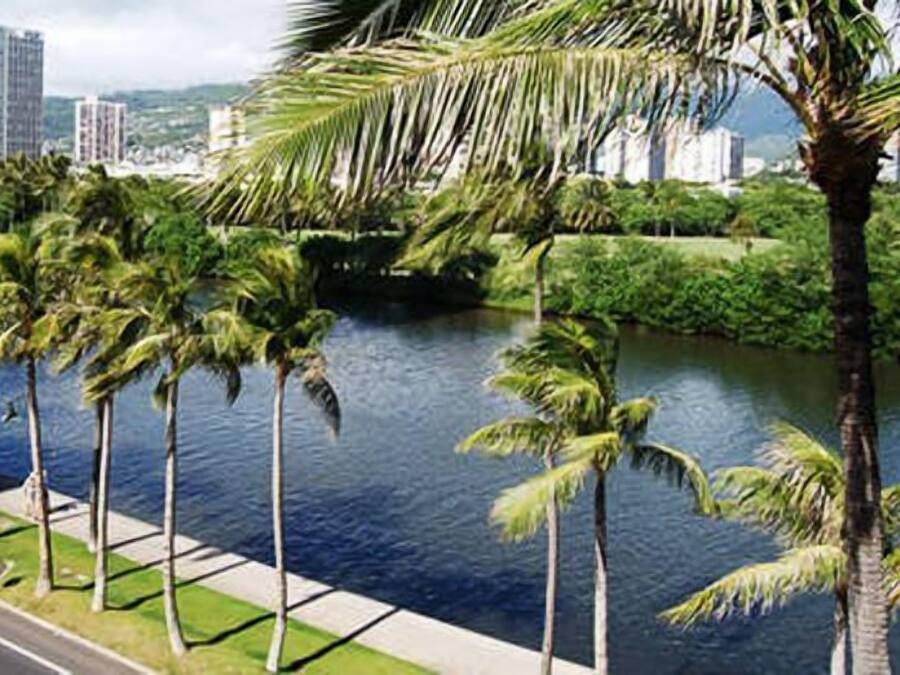 Uitzicht vanuit accommodatie