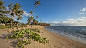 A beach with palm trees and a clear sky. - Maui Sunset - Maui Condo & Home (Kihei)