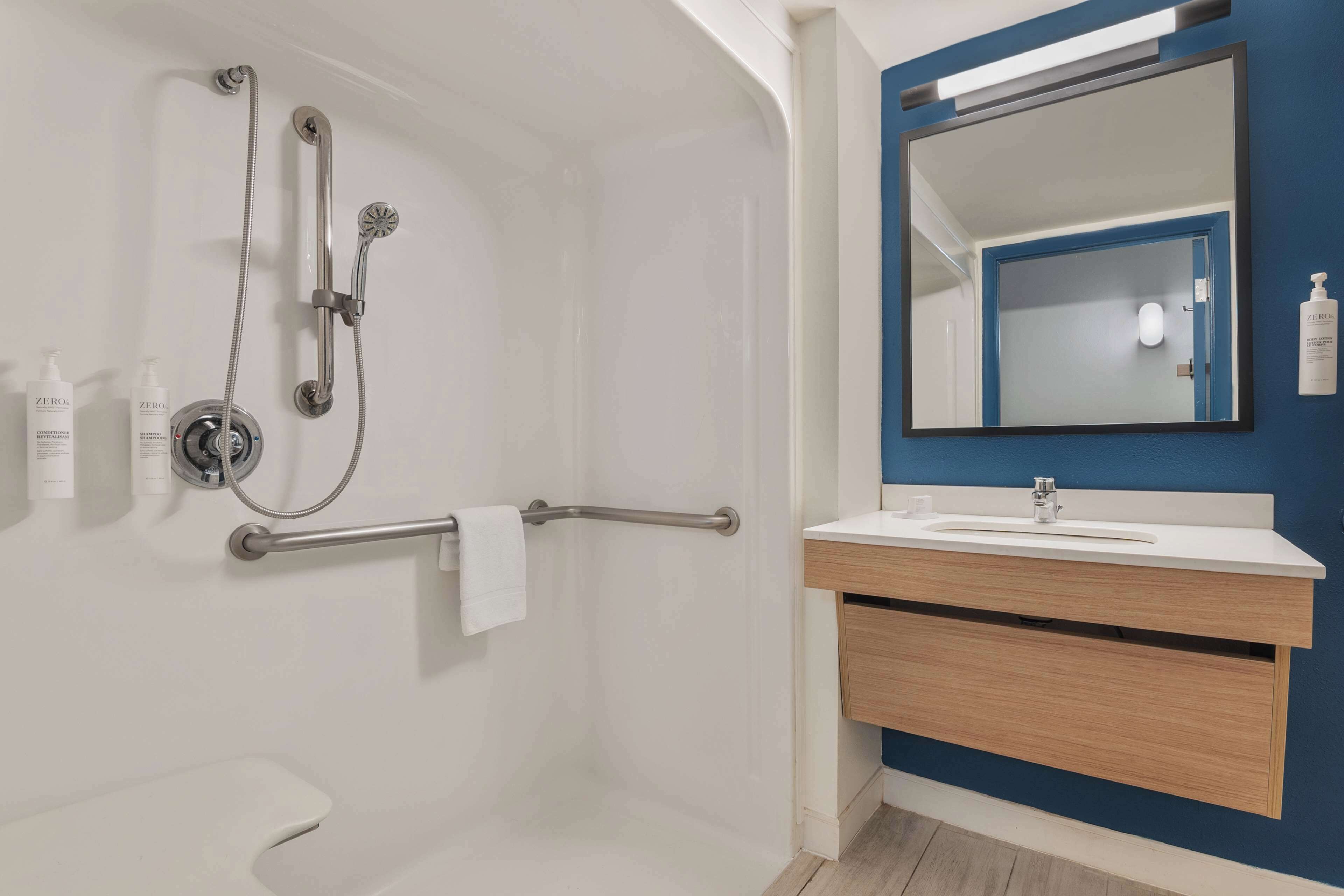 room, 1 king bed, accessible (mobility, hearing, roll-in shower) | bathroom shower