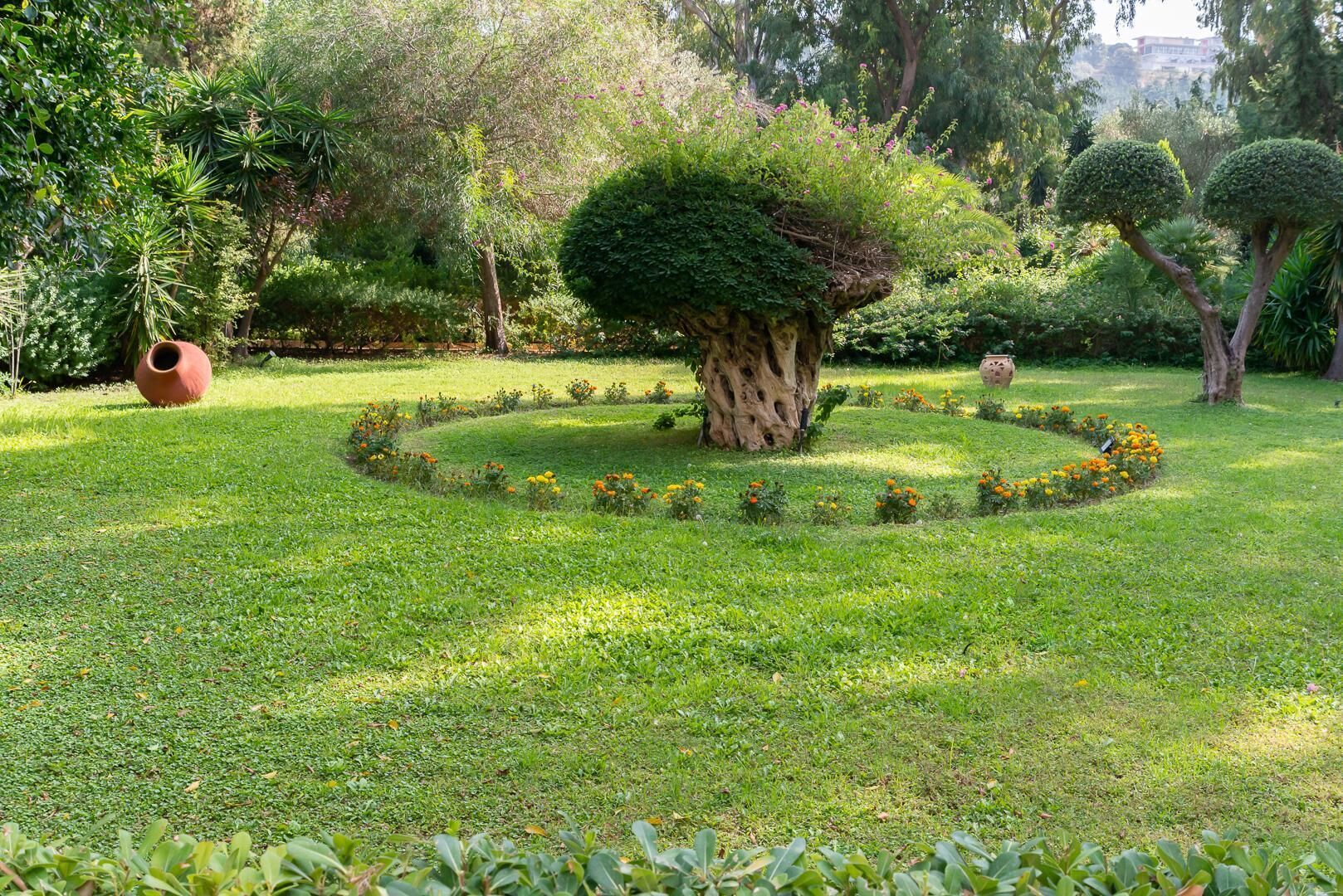 A well-maintained garden with a central tree, surrounded by a circular flower bed, and various other plants and trees in the background.