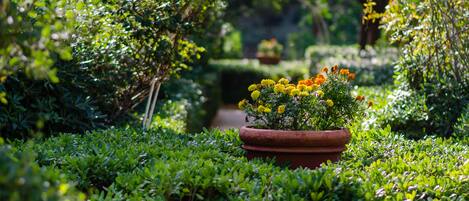 A garden with a potted plant of yellow and orange flowers, surrounded by lush green foliage.