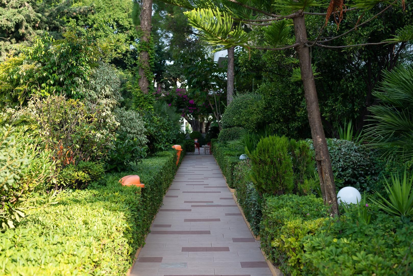 A pathway lined with neatly trimmed hedges and trees, leading through a lush garden area.