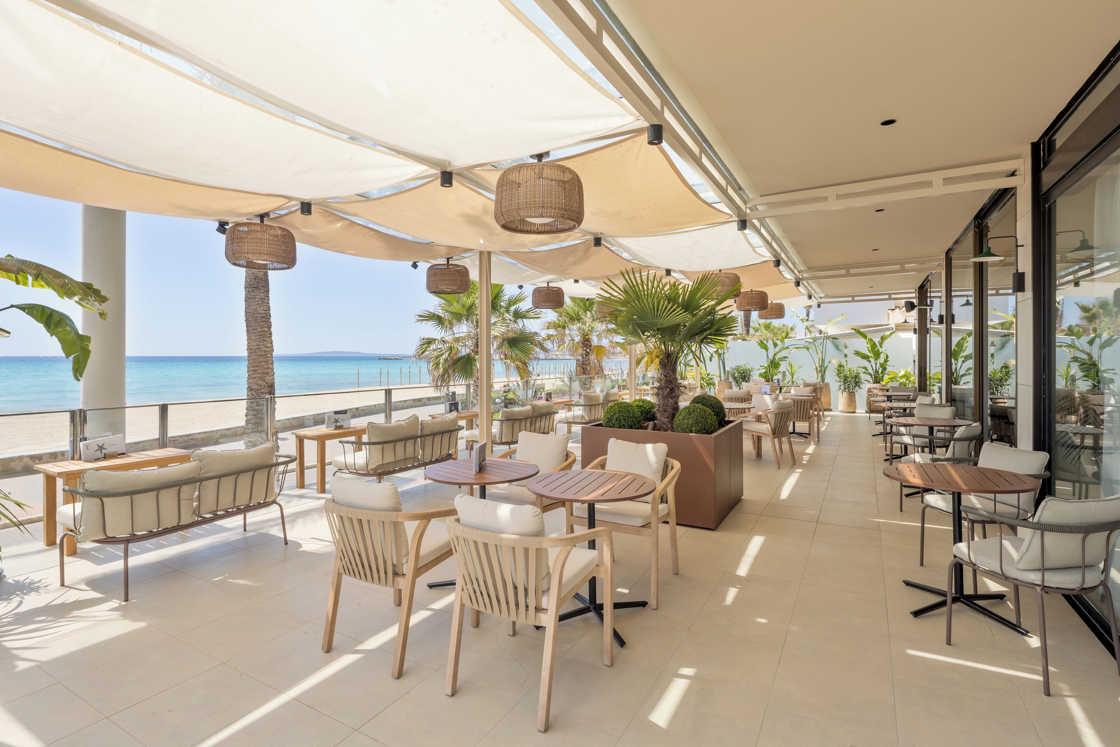 Un patio al aire libre con mesas y sillas, una maceta grande con follaje y vistas al mar.