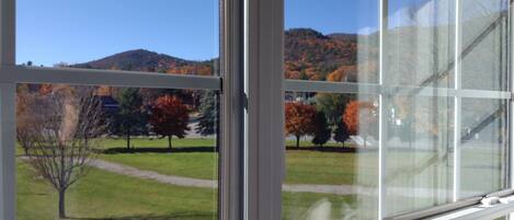 A view through a window with a clear sky, a grassy area, and trees with autumn foliage.
