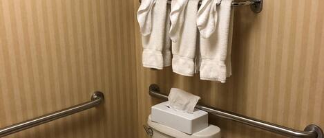 Un bagno con il water, un corrimano, un portascopino con asciugamani piegati e un portarotolo di carta igienica.