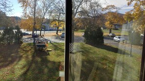 A view through a window of a parking lot with cars, a cart, and trees with autumn leaves.