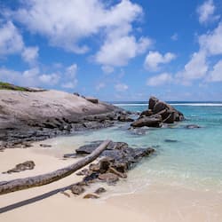 Plage, sable blanc, serviettes de plage, snorkeling