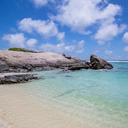 Plage, sable blanc, serviettes de plage, snorkeling