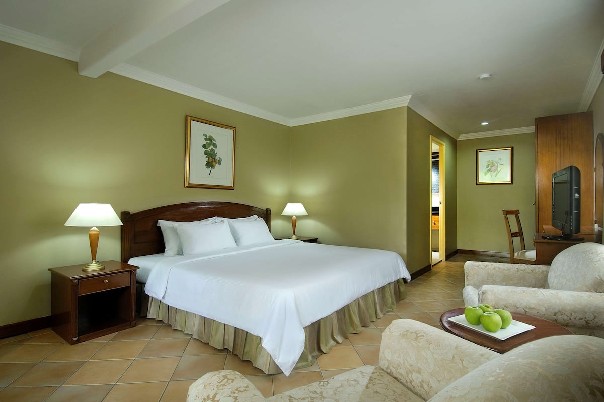 Une chambre d’hôtel avec un lit, deux tables de chevet avec des lampes, une chaise, une petite table avec des pommes et un téléviseur.