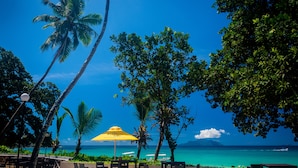 Un restaurante frente a la playa con terraza, palmeras y vistas al océano.
