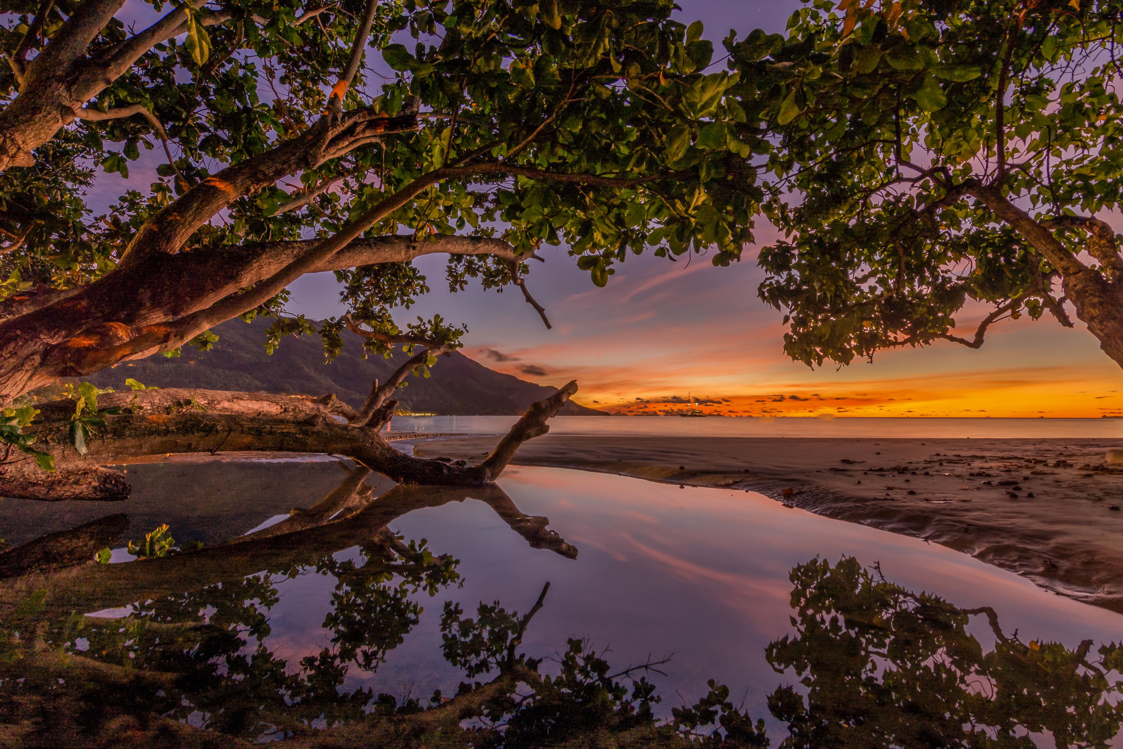 Una vista tranquila del lago, con una rama de árbol destacada que se extiende sobre el agua, reflejando el atardecer.