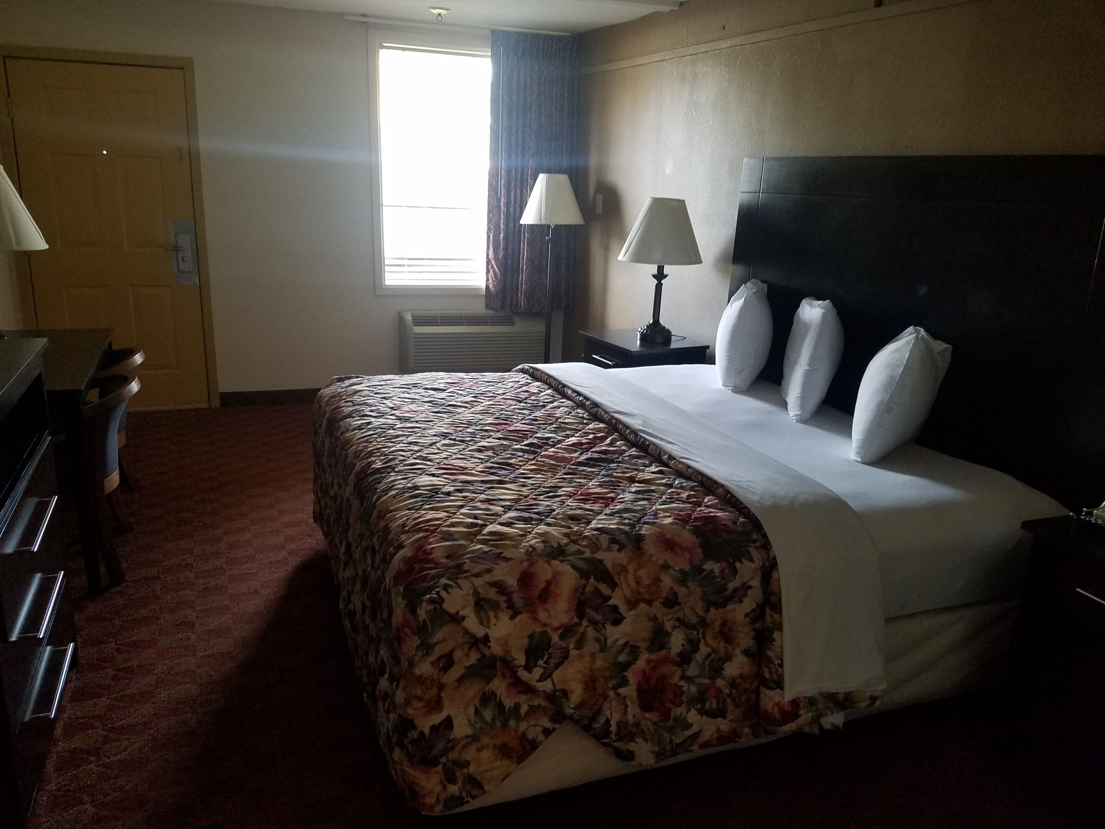 A hotel room with a bed, a desk, a chair, a lamp, and a window with curtains.