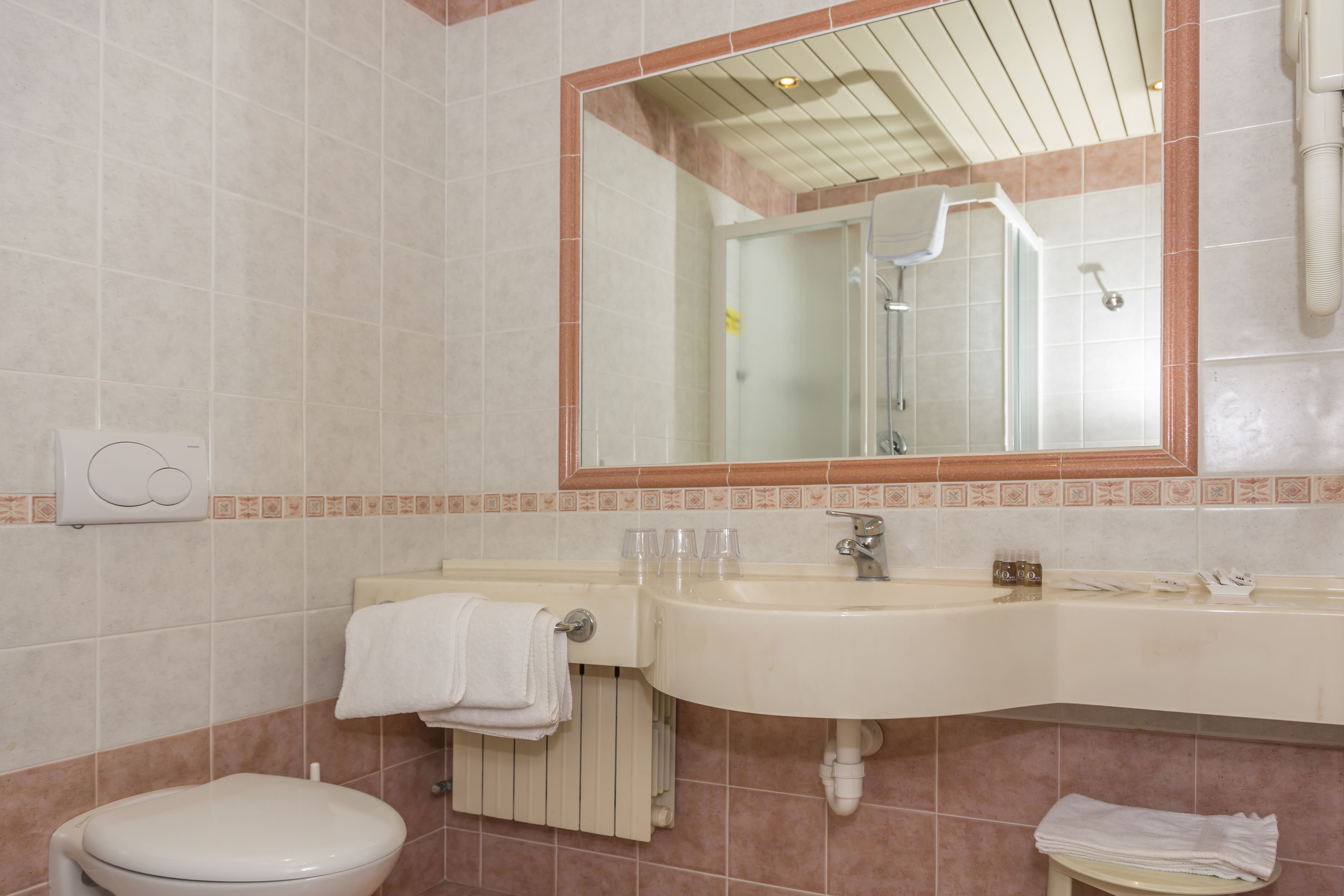 jetted bath, free toiletries, hair dryer, bidet