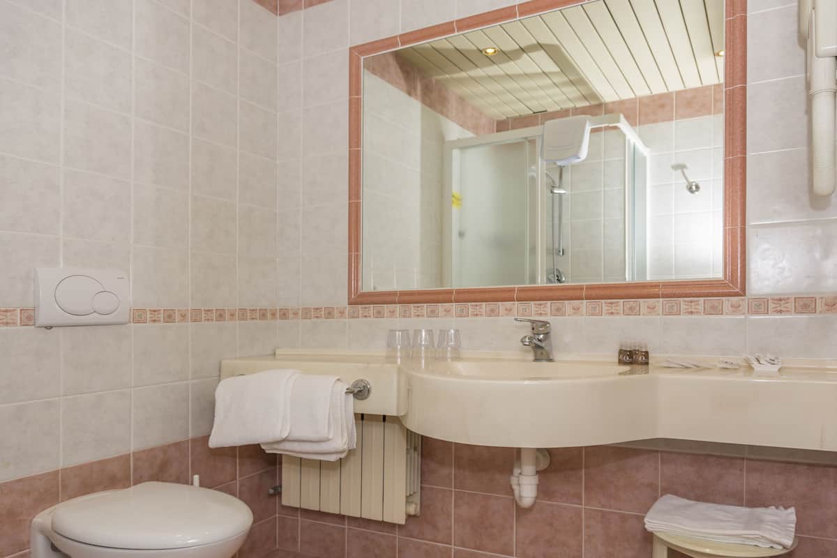 jetted bath, free toiletries, hair dryer, bidet