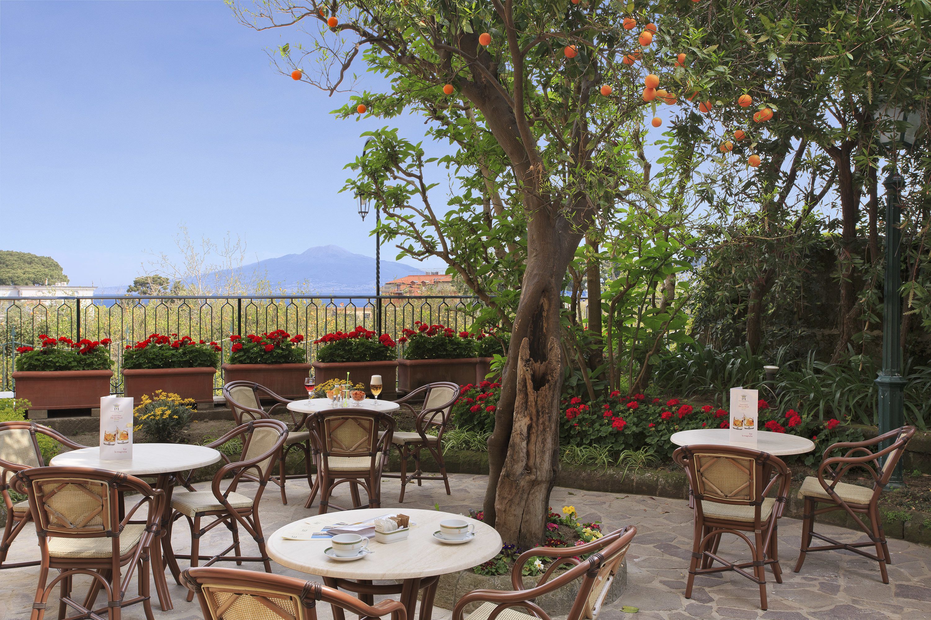 An outdoor seating area with round tables and wicker chairs, surrounded by potted plants and a tree with oranges.