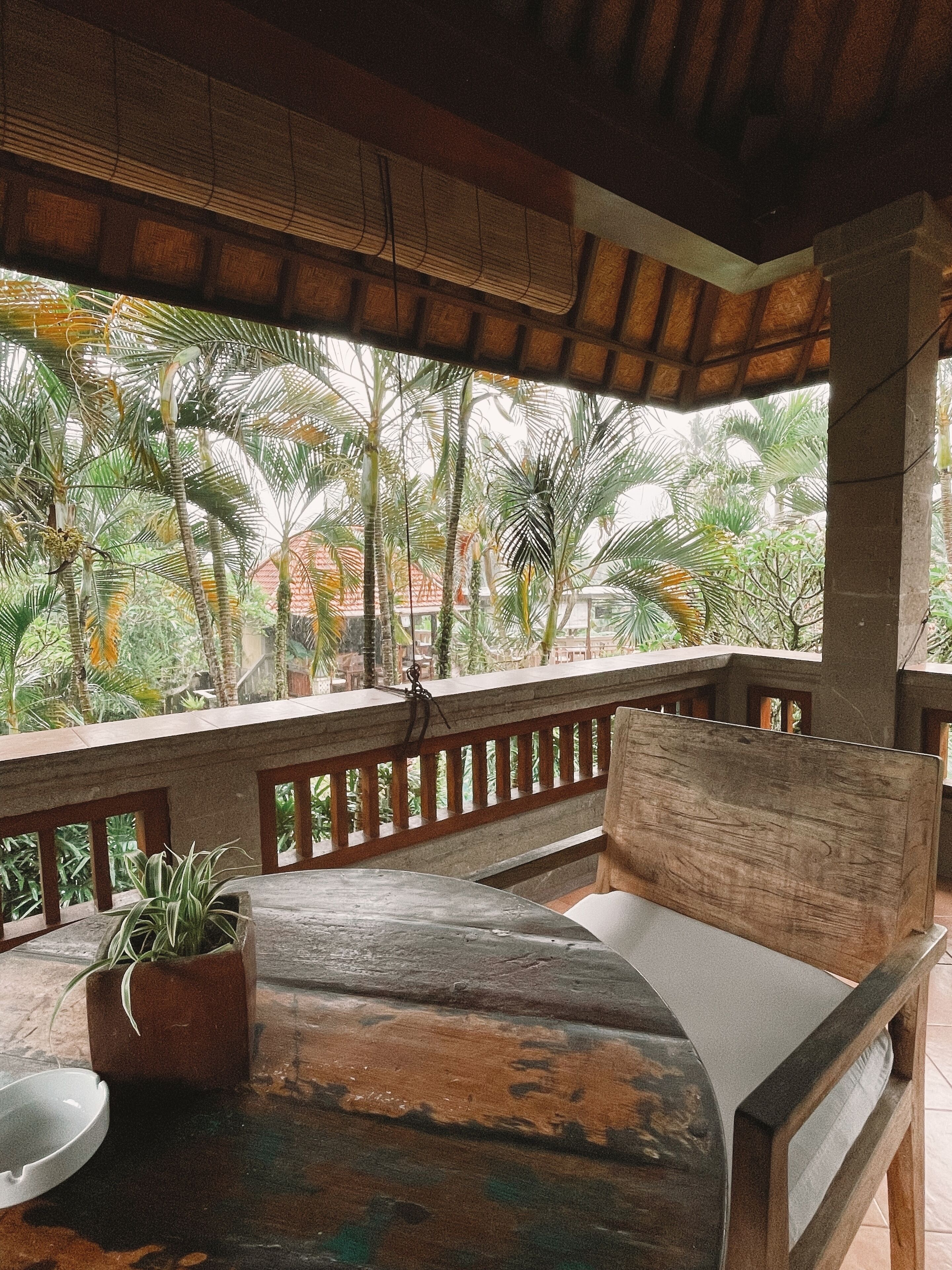 Photo - Villa Sonia Ubud