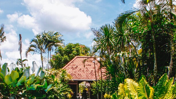 A swimming pool with a tiled edge, surrounded by lush greenery and a building with a red-tiled roof in the background. - Villa Sonia Ubud (Ubud)