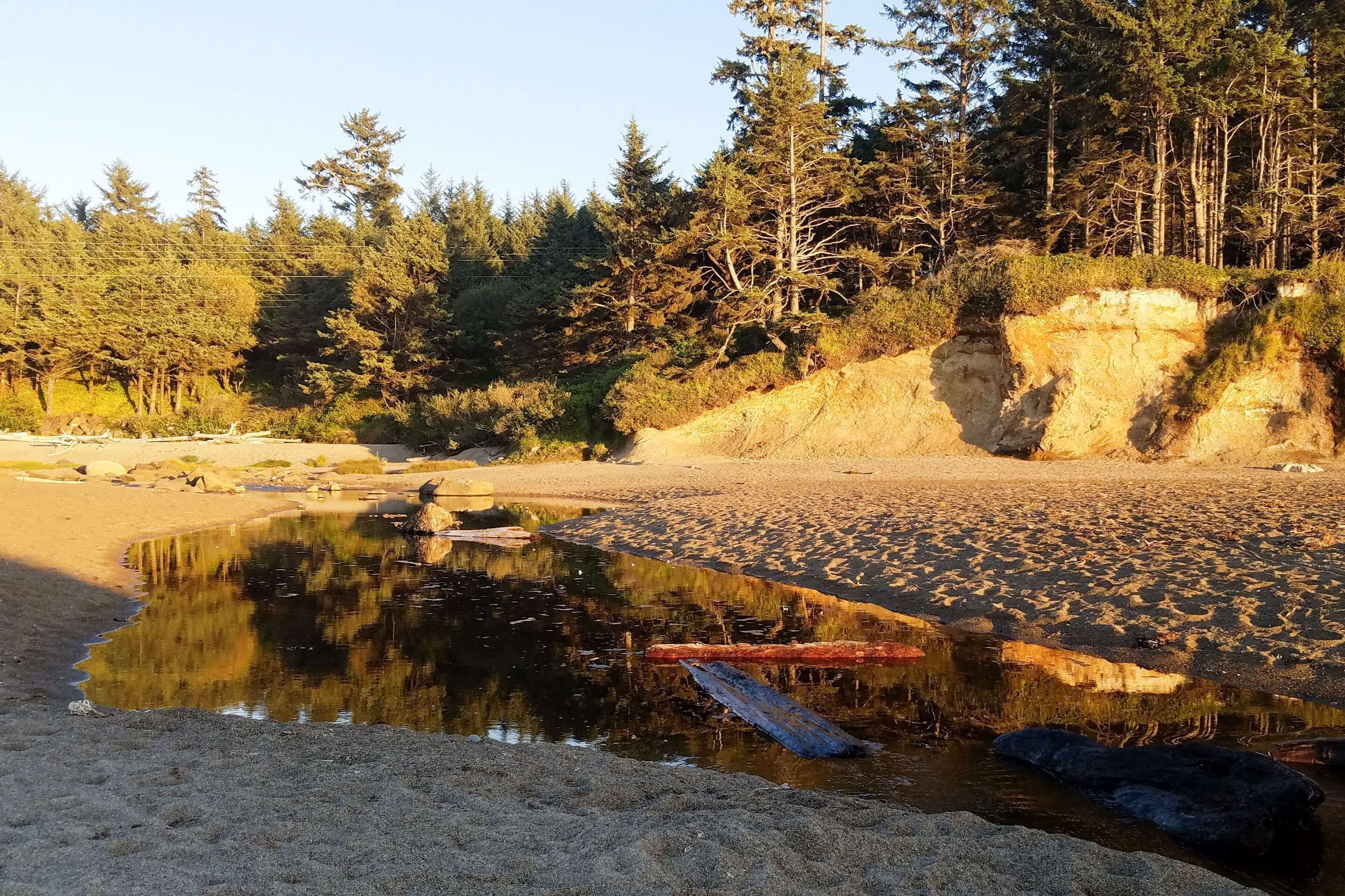 Paisaje natural con playa arenosa, un pequeño estanque y un bosque denso al fondo.