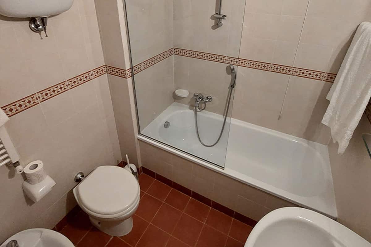 shower, free toiletries, hair dryer, bidet