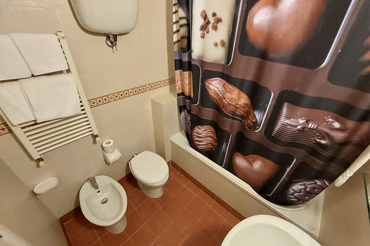 economy double room | bathroom | shower, free toiletries, hair dryer, bidet