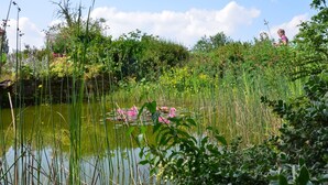 Un estanque tranquilo con nenúfares rosados rodeado de abundante vegetación y diversas plantas.