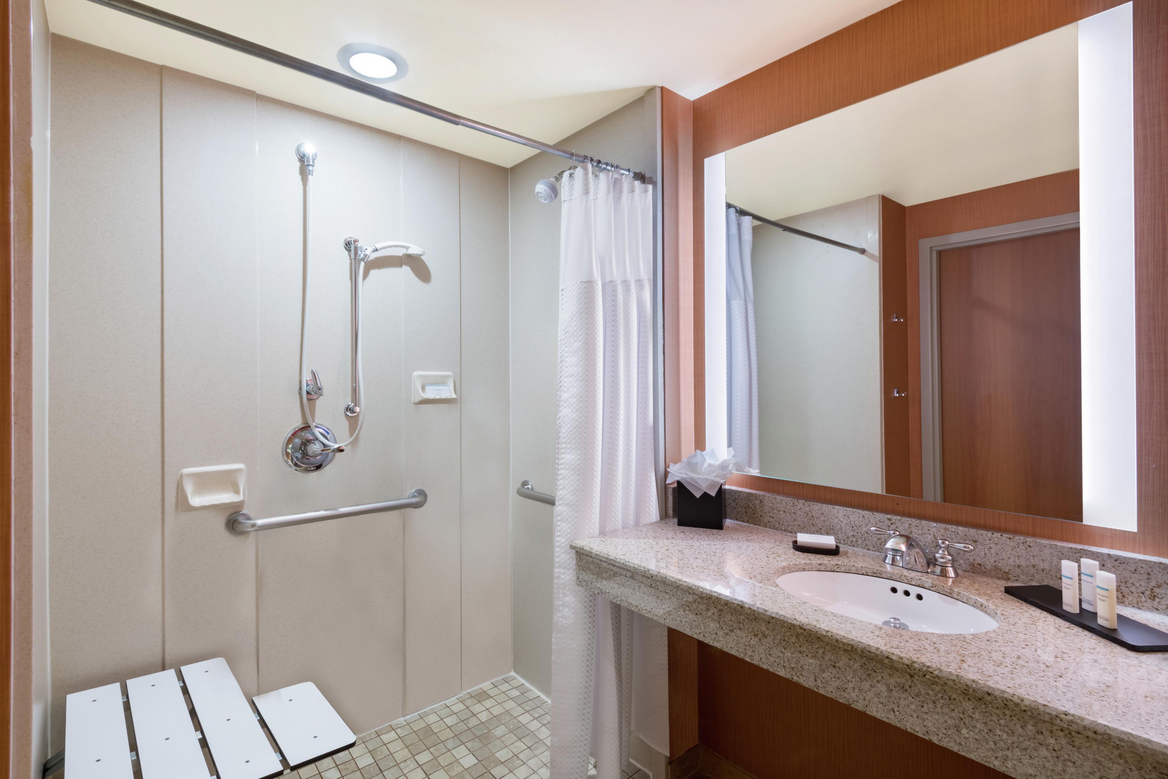 A bathroom with a shower, grab bars, a sink, and a mirror.