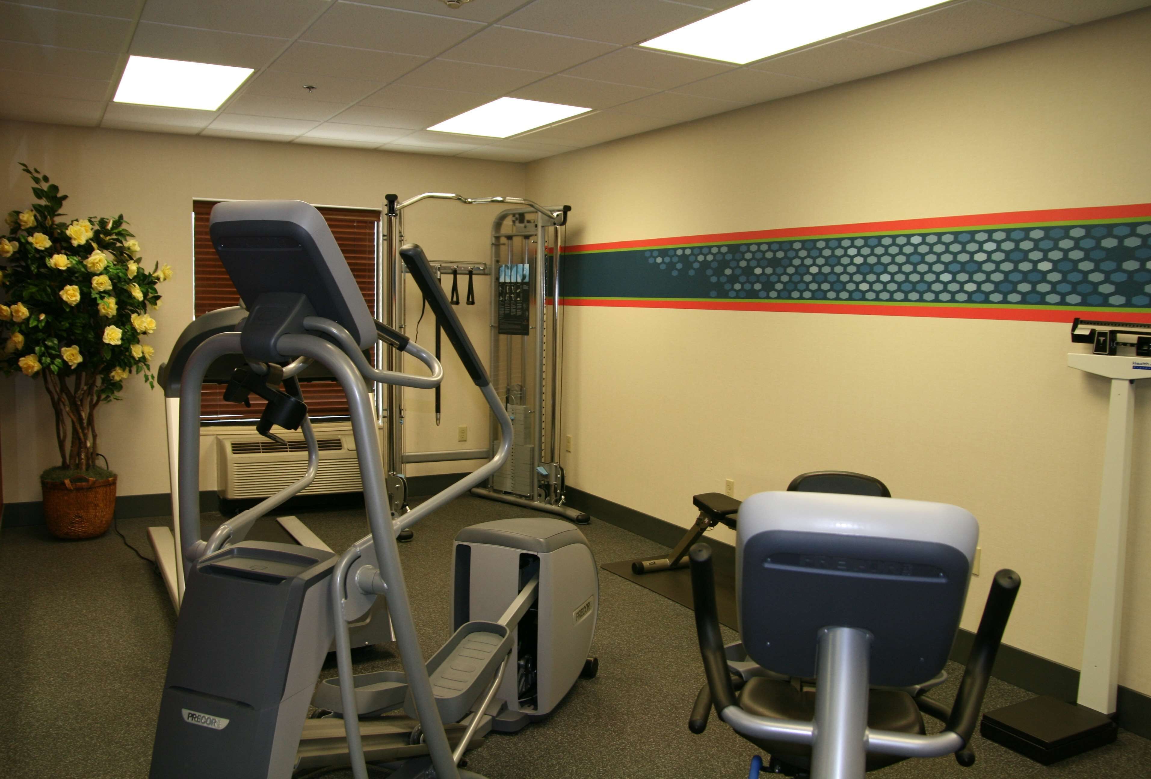 Een fitnessruimte met trainingsapparatuur, een potplant en een muur met decoratieve streep.