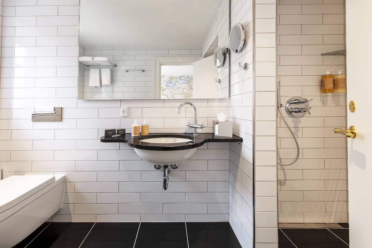 shower, free toiletries, hair dryer, towels