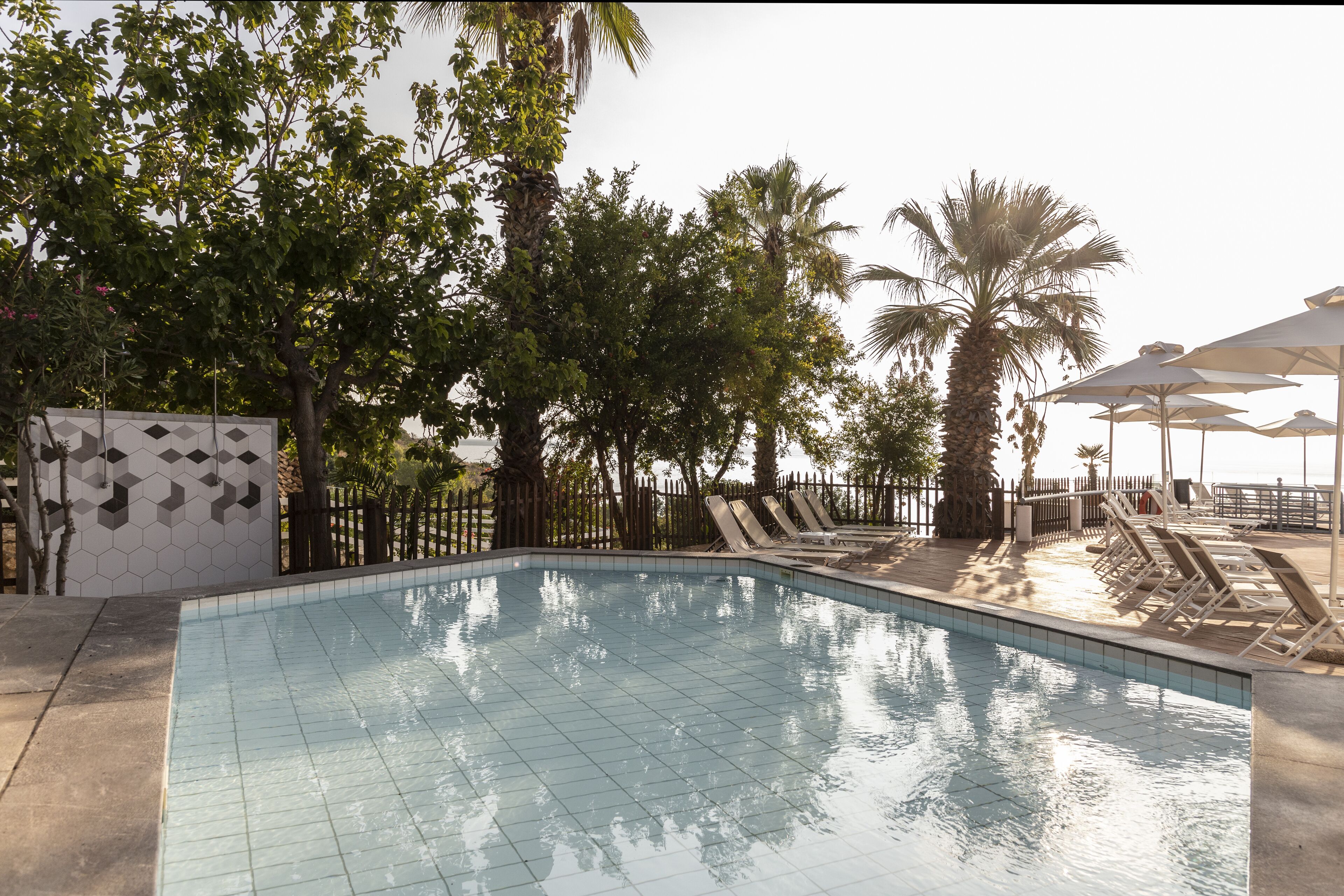 A swimming pool with tiled edges, surrounded by lounge chairs and umbrellas, with trees and a fence in the background.