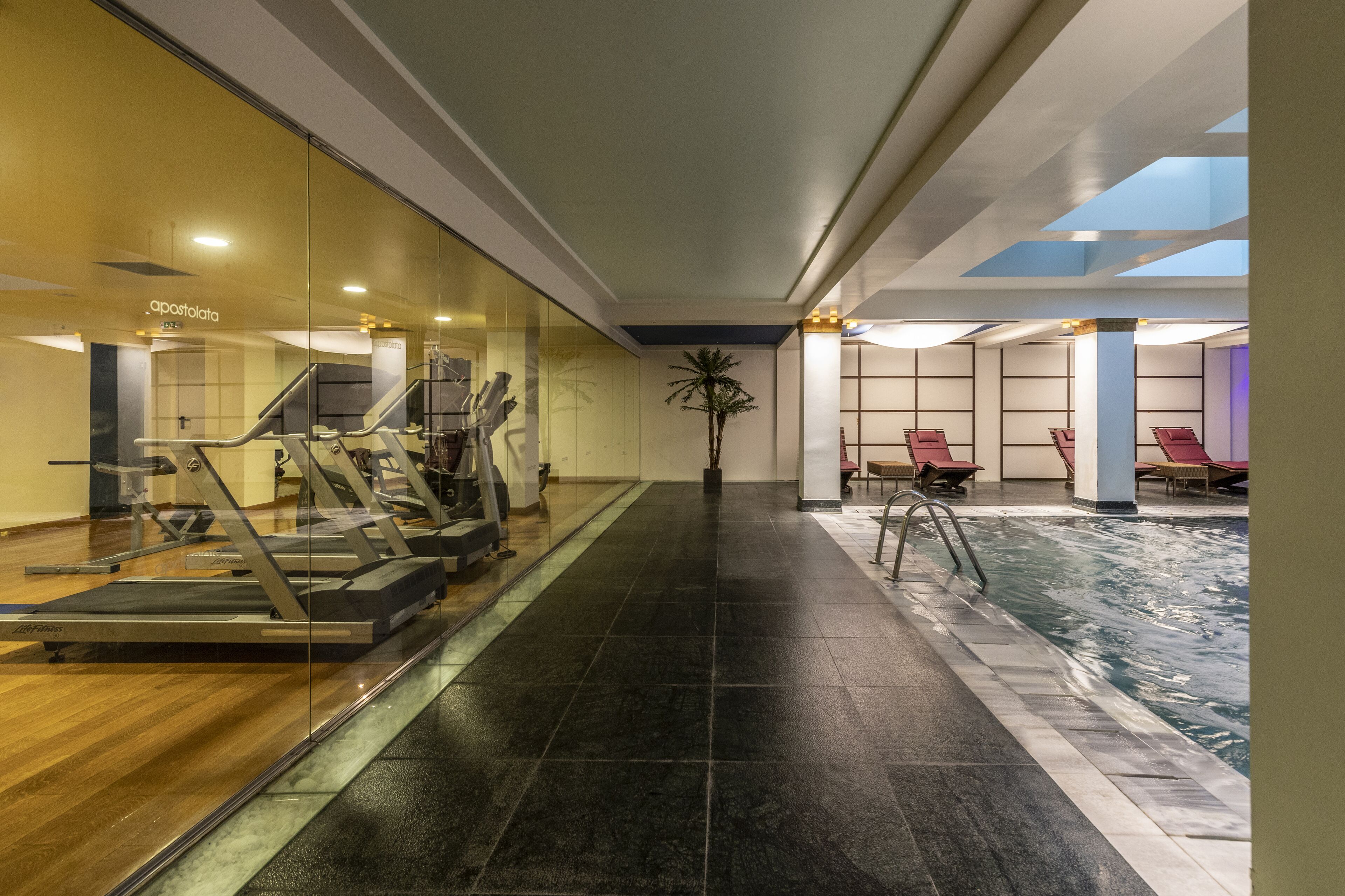 A modern indoor pool area with exercise equipment, a palm tree, and lounge chairs.