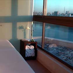 Outdoor treatment area, sauna, hot tub, body treatments