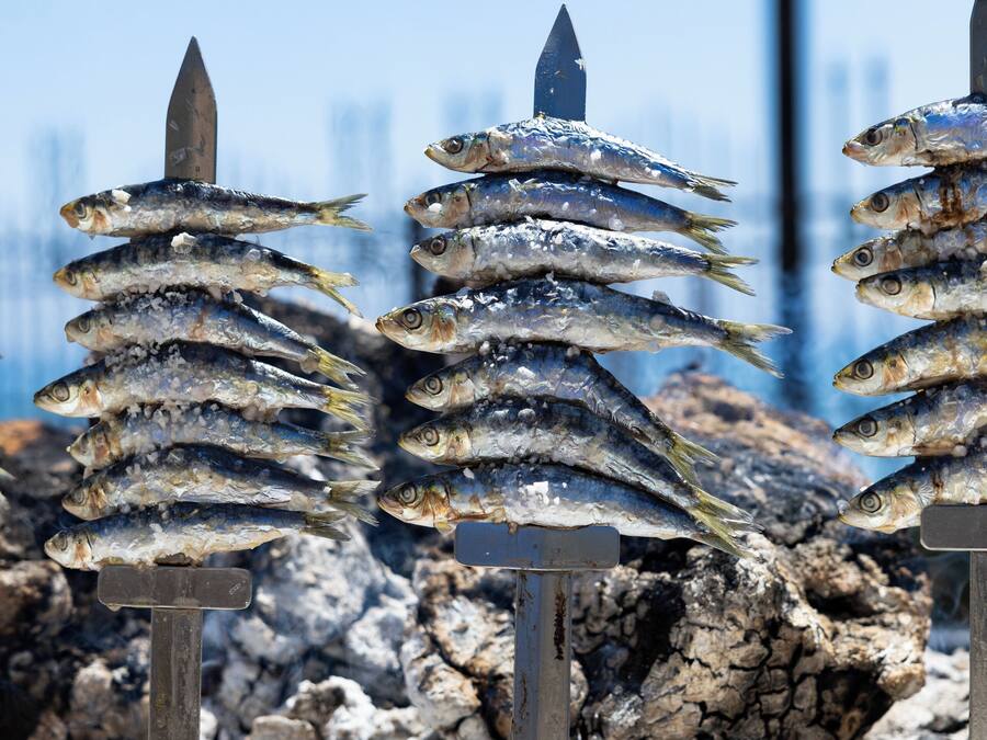 Pescado ensartado exhibido, con un fondo rocoso y cielo despejado.
