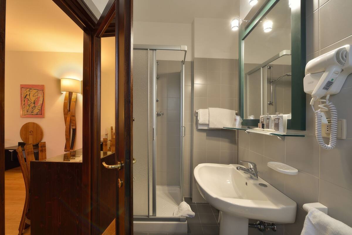 combined shower/bathtub, free toiletries, hair dryer, bidet