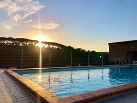 Outdoor pool, sun loungers