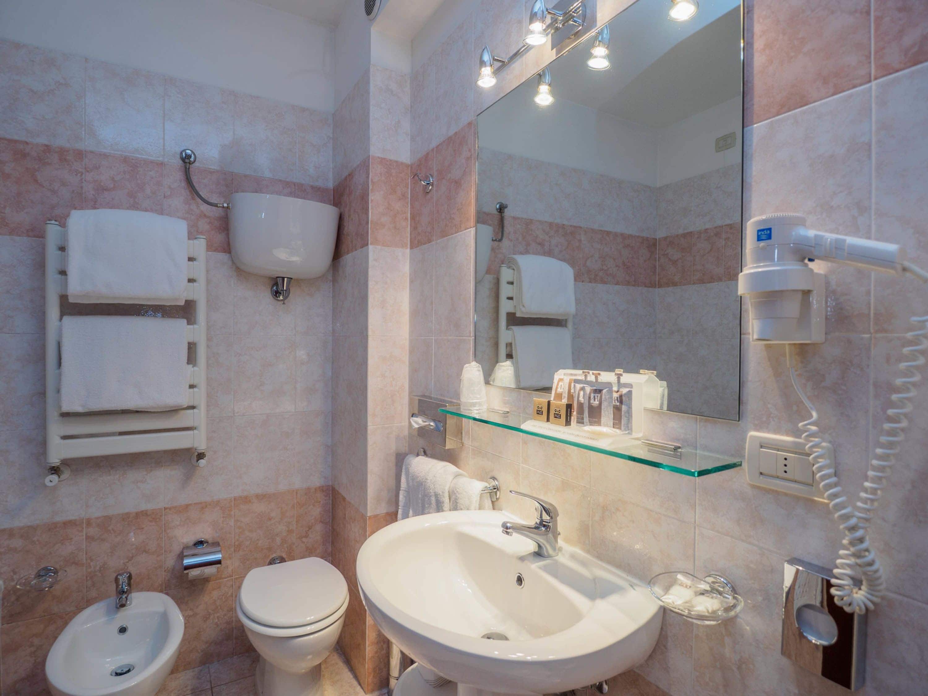 combined shower/bathtub, free toiletries, hair dryer, bidet