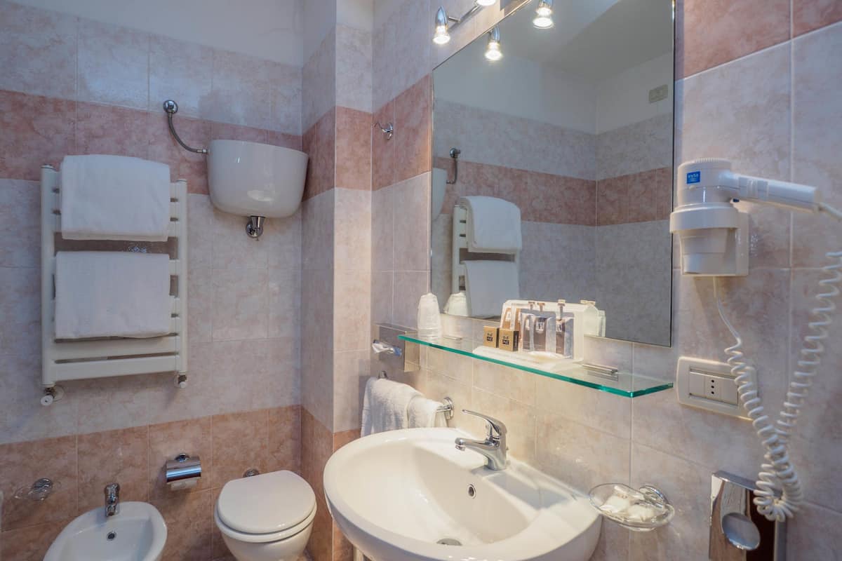 combined shower/bathtub, free toiletries, hair dryer, bidet