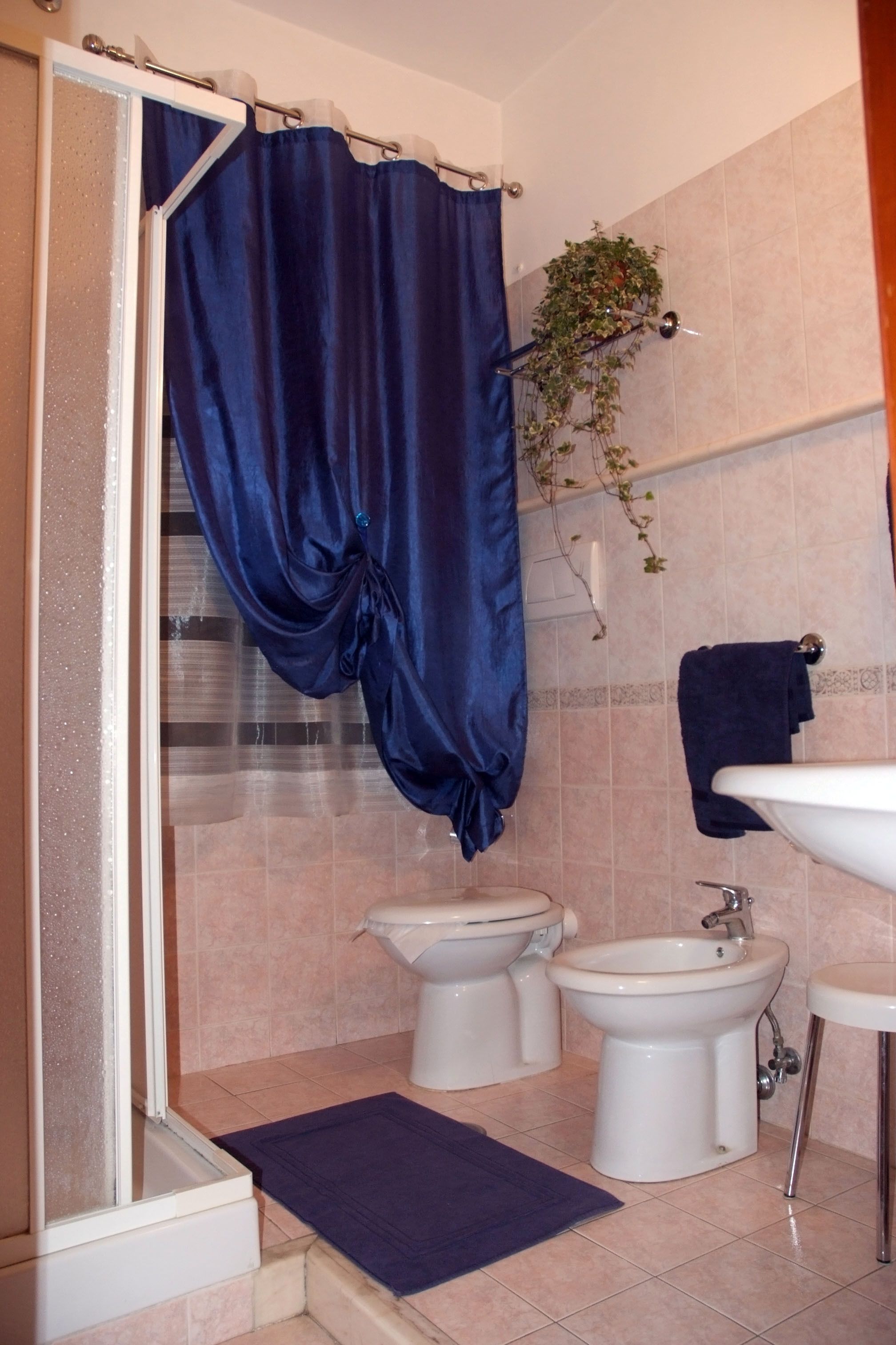 Une salle de bain avec un rideau de douche, un bidet, un lavabo et une petite plante accrochée au mur.
